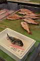 TYO_TsukijiFishmarket (258)